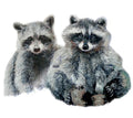 "Raccoons"